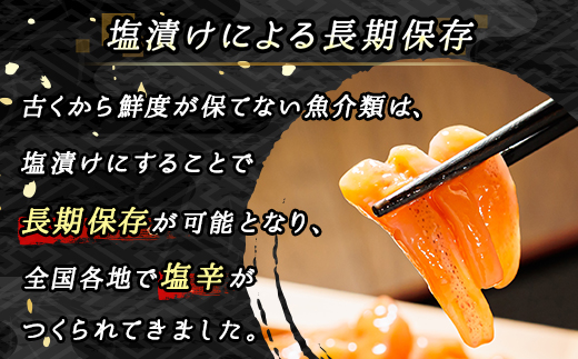 【定期便 3ヶ月連続】北海道産 いか塩辛 150g×5コ 釧路港＜瓶＞ | 塩辛セット 塩辛 烏賊 いか イカ セット 北海道 昆布のまち 釧路町 ご飯 米 無洗米 との相性抜群 冷凍 漬魚 小分け 産地直送