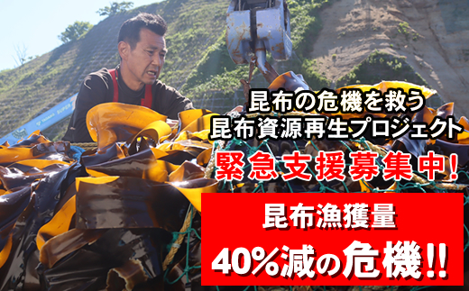 雑海藻から海を守り、日本の食文化である昆布の漁場の再生支援寄附 ＜１口 10,000円 より＞ | 返礼品なし 緊急支援 昆布 こんぶ 北海道 釧路町 釧路超 特産品