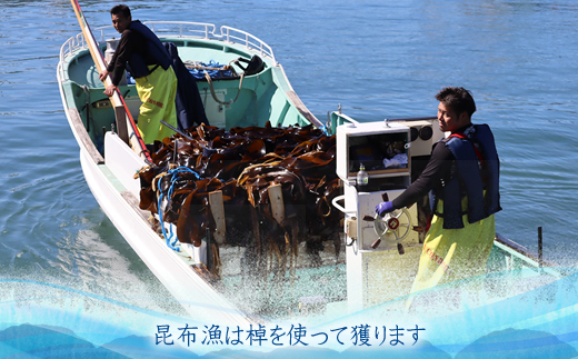 雑海藻から海を守り、日本の食文化である昆布の漁場の再生支援寄附 ＜１口 10,000円 より＞ | 返礼品なし 緊急支援 昆布 こんぶ 北海道 釧路町 釧路超 特産品