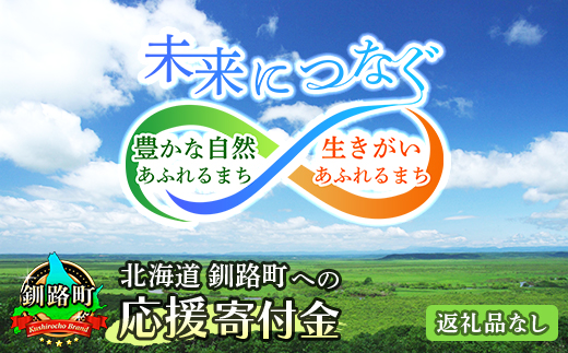 北海道 釧路町 ふるさと 応援寄附金 100,000円 （返礼品なし）＜ご寄附のみとなります ＞ | kushiro town 100000円 北海道 釧路町 釧路超 特産品