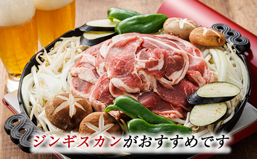 【定期便 9ケ月連続】 味付け ラム肉 スライス 100g×10パック（合計1kg） 羊肉 ラム ラムロール しゃぶしゃぶ 焼肉 焼き肉 bbq ジビエ ジンギスカン 小分け 配送 選べる 指定 配送月指定 配送月が選べる 定期便 肉 絶品 人気 ヒロセ 100000以上 北海道 釧路町 釧路超 特産品