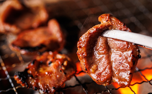 【定期便 6ヶ月連続】 国産 豚ハラミ 1kg（200g×5パック） | 味付き 特性オリジナル タレ味 | 小分け 豚肉 豚 ホルモン ハラミ 国産 焼肉 焼き肉 アウトドア キャンプ BBQ bbq 手切り 一人暮らし セット おかず 焼肉食材専門店 トリプリしおた 北海道 釧路町 釧路超 特産品