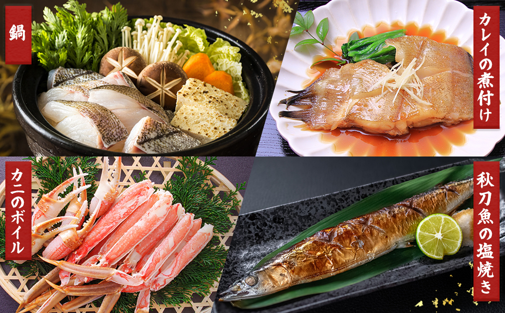【定期便 5ケ月連続】プロ厳選 北海道産 天然 鮮魚セット ＜冷凍＞ 500g〜1kg ｜ 鮮魚ボックス 詰め合わせ 刺身 下処理 切り身 料理に 定期便も人気 5回 ヒロセ 産地直送 魚介 海鮮 魚介 80000円 海鮮定期便 北海道 釧路町 釧路超