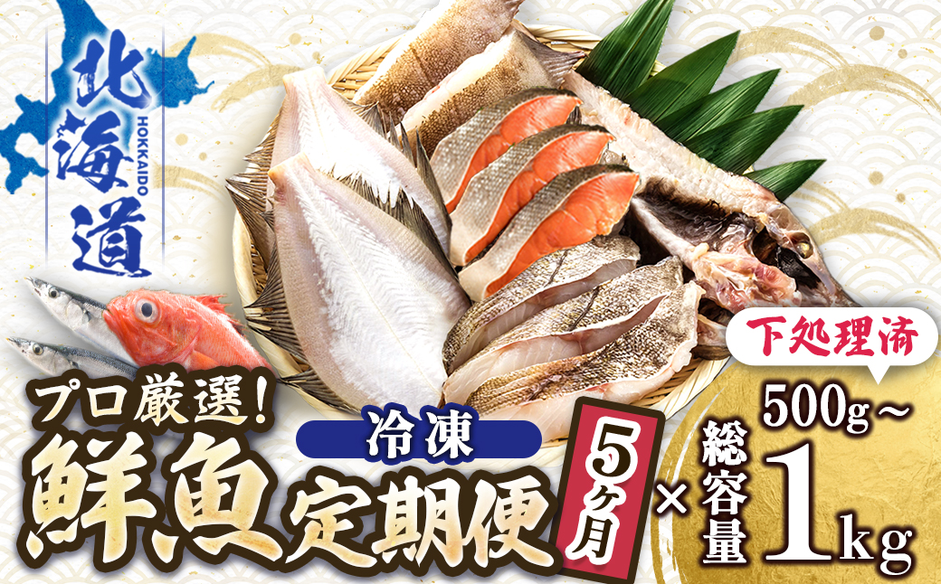 【定期便 5ケ月連続】 お魚の目利きのプロにお任せ！北海道産（国産） 天然 鮮魚 約500g〜1kg（釧路の鮮魚セット） 鮮魚 刺身 セット 産地直送 定期便 冷凍 冷凍便 魚介類 海鮮 絶品 人気 ヒロセ 北海道 釧路町 釧路超 特産品
