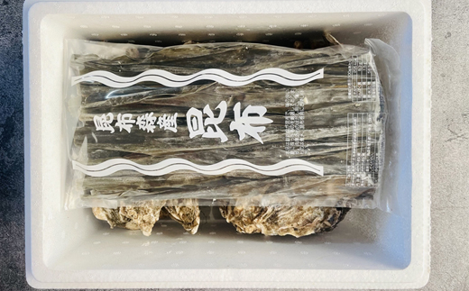 ＼先行予約／北海道 仙鳳趾名産 牡蠣 100g～149g×25コ＋かきナイフ付き 昆布森の昆布のセット かき漁師直送 K1-2＜出荷時期：2025年10月1日ごろ～順次出荷予定＞＜センポウシ : 釧路町の東 厚岸湾の西 カキの名産地＞