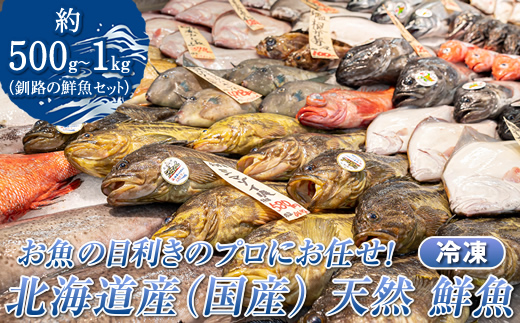 お魚の目利きのプロにお任せ！北海道産（国産） 天然 鮮魚 約500g～1kg（釧路の鮮魚セット）産地直送 冷凍 冷凍便 刺身 セット 鮮魚セット 鮮魚ボックス 北海道 釧路町 釧路超 特産品