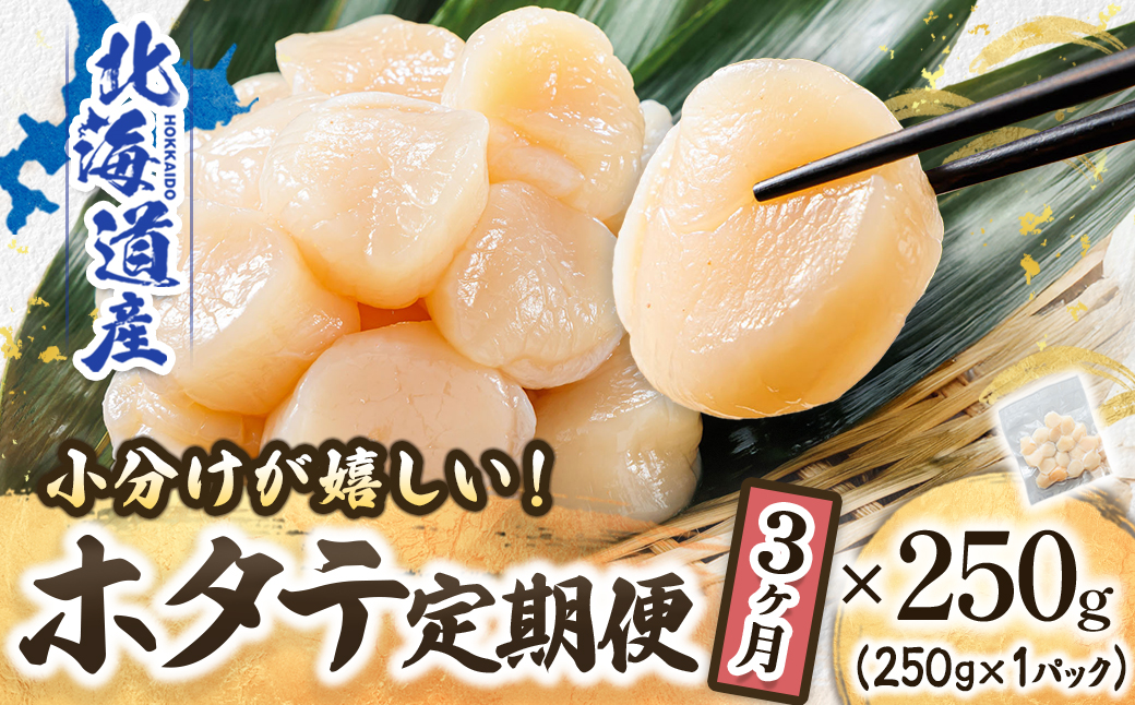 【定期便 3か月連続】北海道産 ホタテ貝柱 （約250g×1コ） 帆立 ホタテ ほたて 貝柱 冷凍 刺身 刺し身 小分け ホタテ貝柱 刺身ホタテ 刺身 冷凍 セット 産地直送 魚介類 海鮮 絶品 人気 ヒロセ 定期便 3回 3か月 海鮮定期便 北海道 釧路町 釧路超 特産品 br04