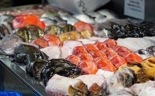 お魚の目利きのプロにお任せ！北海道産（国産） 天然 鮮魚 約500g〜1kg（釧路の鮮魚セット）