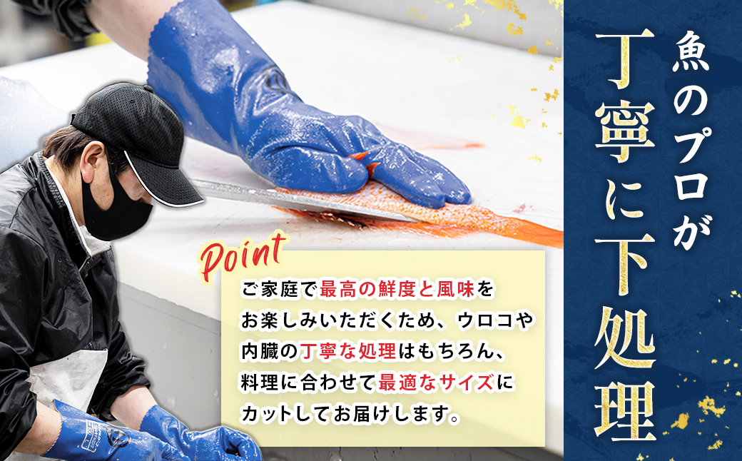 【定期便 5ケ月連続】プロ厳選 北海道産 天然 鮮魚セット ＜冷凍＞ 500g〜1kg ｜ 鮮魚ボックス 詰め合わせ 刺身 下処理 切り身 料理に 定期便も人気 5回 ヒロセ 産地直送 魚介 海鮮 魚介 80000円 海鮮定期便 北海道 釧路町 釧路超