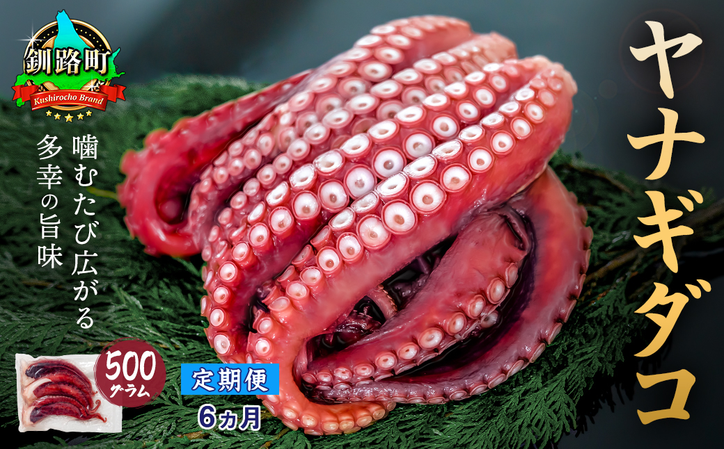 【定期便6ヶ月】ヤナギダコ500g【産地直送】プリプリ食感！釧路町昆布森産 ヤナギダコ｜噛むたびに広がる多幸の旨味 お刺身 鍋 煮物に最適 栄養満点 贈答用 にも最適 漁師直送 鮮度抜群 タコ 蛸 北海道 冷凍 釧路町 釧路超 特産品