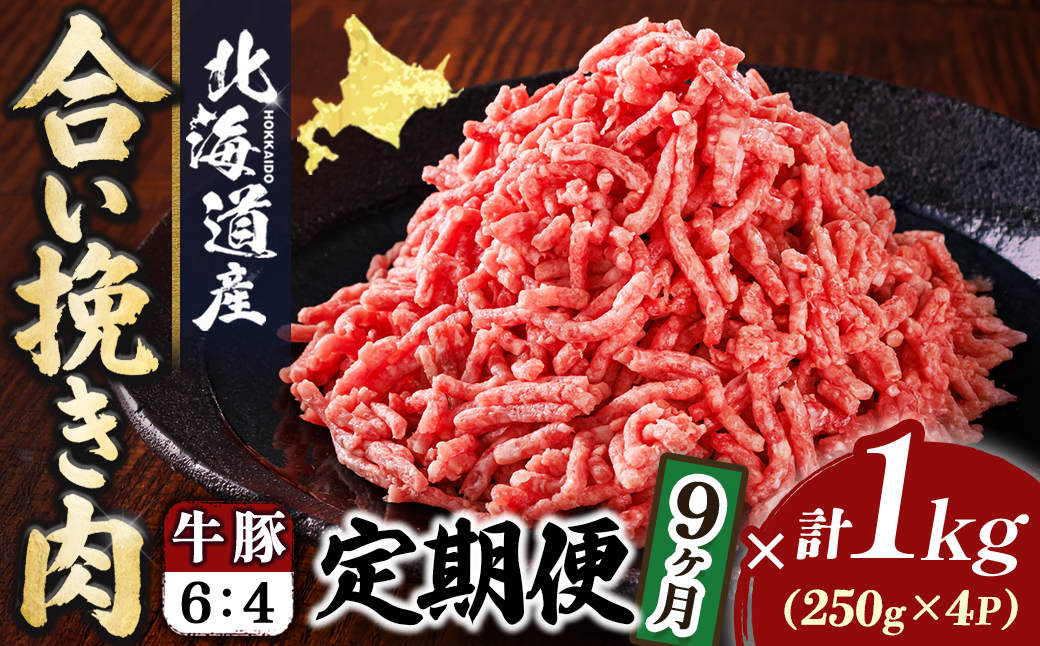 【定期便 9ヶ月連続】北海道産 合い挽き肉 合計1kg（牛6：豚4） 黄金比ひき肉｜挽肉 挽き肉 ひき肉です 合挽肉 合挽き肉 豚 肉 豚肉 豚肉ミンチ 合挽豚肉 牛 肉 牛肉 牛肉ミンチ 合挽牛肉 合い挽き 小分け 一人暮らし セット おかず ハンバーグ 冷凍 定期便 肉 絶品 人気 ヒロセ 10万ほど 10万以下 北海道 釧路町 釧路超 特産品