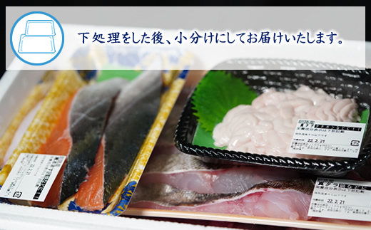 【定期便 ６ケ月連続】 お魚の目利きのプロにお任せ！北海道産（国産） 天然 鮮魚 約500g～1kg（釧路の鮮魚セット） 産地直送 冷凍 冷凍便 刺身 セット 鮮魚セット 鮮魚ボックス 北海道 釧路町 釧路超 特産品