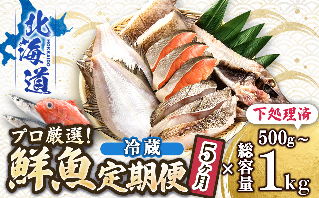 【定期便 5ケ月連続】 お魚の目利きのプロにお任せ！北海道産（国産） 天然 鮮魚 約500g〜1kg（釧路の鮮魚セット） 産地直送 冷蔵 冷蔵便 刺身 セット 鮮魚セット 鮮魚ボックス 定期便 魚介類 海鮮 絶品 人気 ヒロセ 北海道 釧路町 釧路超 特産品
