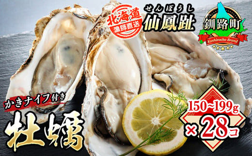 北海道 仙鳳趾名産 牡蠣 150g～199g×28コ＋かきナイフ付き かき漁師直送K4-4 【センポウシ : 釧路町の東 厚岸湾の西 カキの名産地】 仙鳳趾 せんぽうし 牡蠣 生食用 殻付き 生牡蠣 絶品 産地直送 殻付き牡蠣 北海道 釧路町 釧路超 特産品