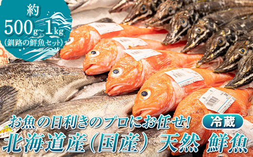 お魚の目利きのプロにお任せ！北海道産（国産） 天然 鮮魚 約500g～1kg（釧路の鮮魚セット）産地直送 冷蔵 冷蔵便 刺身 セット 鮮魚セット 鮮魚ボックス 北海道 釧路町 釧路超 特産品