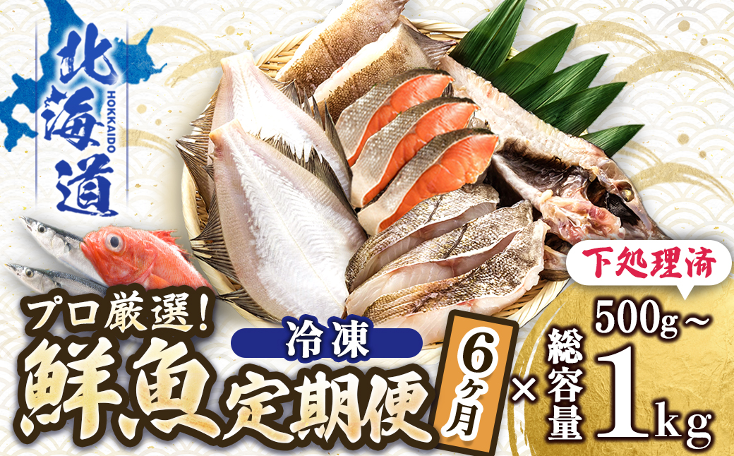 【定期便 ６ケ月連続】 お魚の目利きのプロにお任せ！北海道産（国産） 天然 鮮魚 約500g〜1kg（釧路の鮮魚セット） 産地直送 冷凍 冷凍便 刺身 セット 鮮魚セット 鮮魚ボックス 定期便 魚介類 海鮮 絶品 人気 ヒロセ 北海道 釧路町 釧路超 特産品