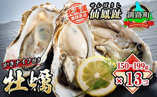 北海道 仙鳳趾名産 牡蠣 150g～199g×13コ＋かきナイフ付き かき漁師直送K4-3 【センポウシ : 釧路町の東 厚岸湾の西 カキの名産地】 仙鳳趾 せんぽうし 牡蠣 生食用 殻付き 生牡蠣 絶品 産地直送 殻付き牡蠣 北海道 釧路町 釧路超 特産品