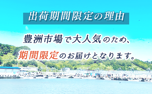 ＼先行予約／北海道 仙鳳趾名産 むき牡蠣 500g×2コ K5-6＜出荷時期：2025年5月20日以降 順次出荷＞ 豊洲市場で大人気のため期間限定出荷 北海道 釧路町 仙鳳趾 かき漁師直送 剥き 牡蠣 むき身 剥き身