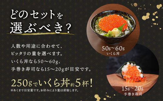 北海道産 いくら醤油漬け 1kg（250g×2パック入り）×2箱 ｜ 国産 いくら いくら醤油漬 イクラ ikura 鮭 サーモン 鮭卵 鮭いくら 冷凍 スピード発送 すぐ届く 魚介類 海鮮 人気 魚介人気 笹谷商店 釧之助本店 せんのすけ すぐ発送 100000以上 10万ほど 北海道 釧路町 釧路超 特産品