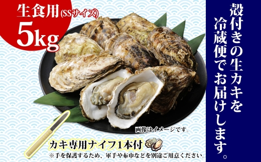 殻付き牡蠣 仙極かき SSサイズ 5kg 生食用 かきナイフ付 牡蠣 かき カキ 冷蔵 北海道 釧路町