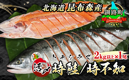 時不知（トキシラズ ）／時鮭（生）＜1本（2kg以上）北海道昆布森産 活〆 チルド＞6月限定出荷＜出荷時期：2022年6月1日～6月30日ごろ＞