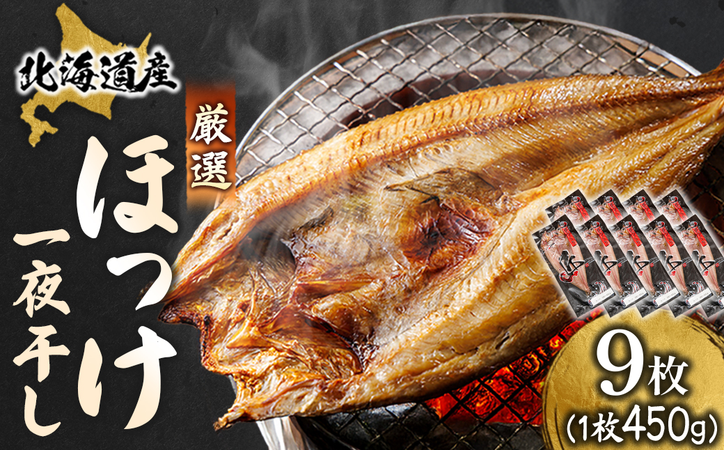 北海道産 ほっけ一夜干し（450〜499g）×9枚 【配送日時指定可能】 釧路町の匠が贈る 北の至宝 ホッケ 干物 焼魚 焼き魚 白身魚 セット ひもの 魚干物 一人暮らし セット おかず 冷凍 スピード発送 すぐ届く 魚介類 海鮮 絶品 人気 ヒロセ すぐ発送 北海道 釧路町 釧路超 特産品