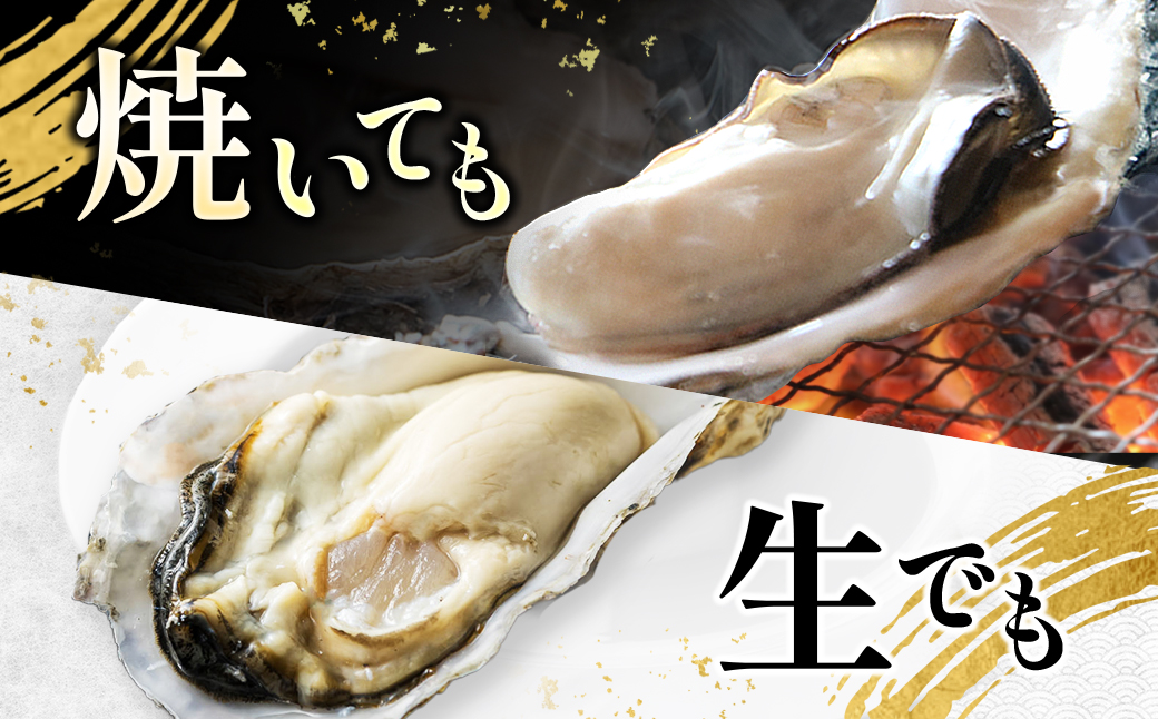 北海道 仙鳳趾名産 牡蠣 150g～199g×28コ＋かきナイフ付き かき漁師直送K4-4 【センポウシ : 釧路町の東 厚岸湾の西 カキの名産地】 仙鳳趾 せんぽうし 牡蠣 生食用 殻付き 生牡蠣 絶品 産地直送 殻付き牡蠣 北海道 釧路町 釧路超 特産品