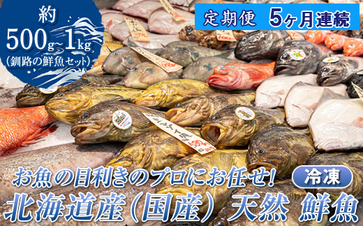 【定期便 5ケ月連続】 お魚の目利きのプロにお任せ！北海道産（国産） 天然 鮮魚 約500g〜1kg（釧路の鮮魚セット） 鮮魚 刺身 セット 産地直送 定期便 冷凍 冷凍便 魚介類 海鮮 絶品 人気 ヒロセ 北海道 釧路町 釧路超 特産品