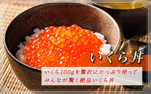 北海道産 塩いくら 500g  | 国産 北海道産 いくら塩漬け いくら イクラ ikura 天然 鮭 サーモン 鮭卵 鮭いくら 北海道 昆布のまち 釧路町 笹谷商店 直営 釧之助本店 人気 の訳あり!  父親の日 ご飯 米 無洗米 にも最適