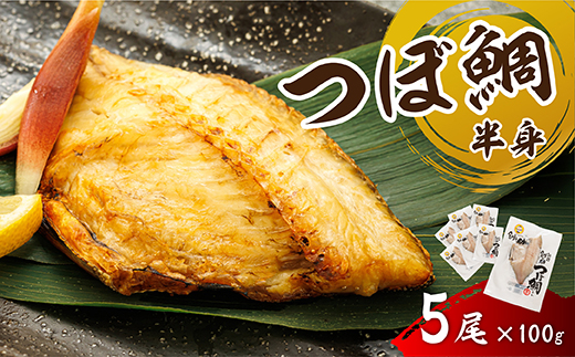 干物界の最高級魚 厳選した つぼ鯛 半身（100g×5尾）｜ ツボダイ ツボ鯛 一夜干し 干物 ひもの 魚干物 つぼだい 無添加 小分け 個包装 白身魚 焼魚 焼き魚 魚 冷凍 スピード発送 すぐ届く 魚干物 海鮮 絶品 人気 笹谷商店 直営 釧之助本店 せんのすけ 高級 すぐ発送 北海道 釧路町 釧路超 特産品