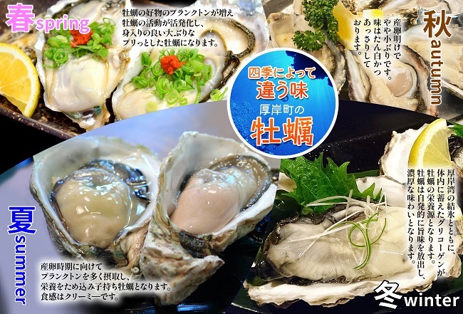 北海道厚岸産　牡蠣むいちゃいました！（生食用）500ｇ×1