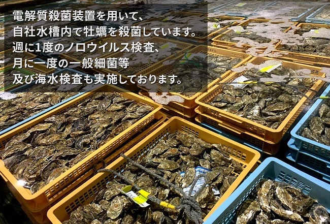 北海道 厚岸産 殻付 牡蠣の食べ比べセット！（生食用）2ヶ月 定期便 魚貝類 生牡蠣 かき 厚岸産殻牡蠣 カキえもんスペシャル 15個 