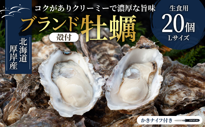 厚岸産　殻付カキLサイズ20個（生食用） 魚貝類 生牡蠣 かき 牡蠣 マルえもん メルマガ掲載商品2