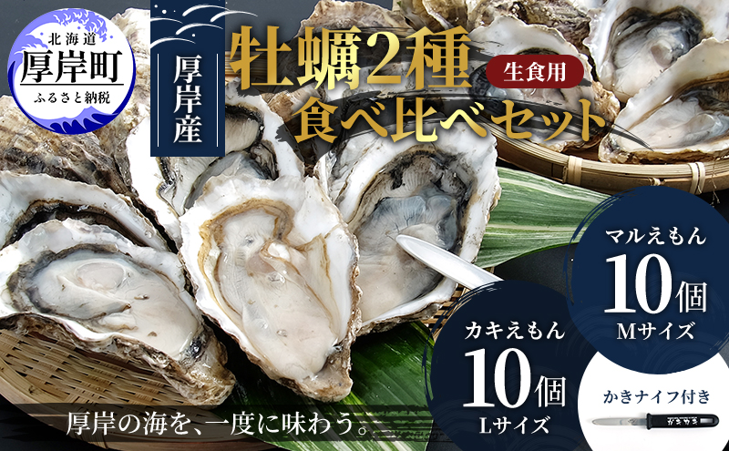 北海道 厚岸産 殻付牡蠣の食べ比べセット！（生食用）  牡蠣 カキ かき 生食 生食用 生牡蠣  食べ比べ 魚貝類