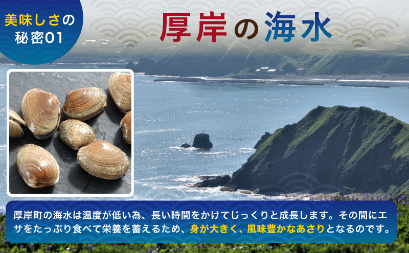 あさり 【定期便 6ヶ月】 北海道 厚岸産 ボイル冷凍あさり 250×5パック (各回1,250g×6ヶ月分,合計約7.5kg) 簡単 お手軽