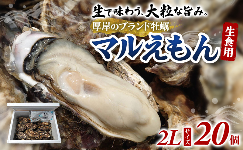 牡蠣 厚岸のブランド牡蠣 マルえもん 2Lサイズ 20個 生食用 魚貝類 海鮮 海のミルク 国産 生食用殻付き牡蠣 まろやか クリーミー 食べやすい品種 海の香り 牡蠣の酒蒸し 焼き牡蠣 マルえもん