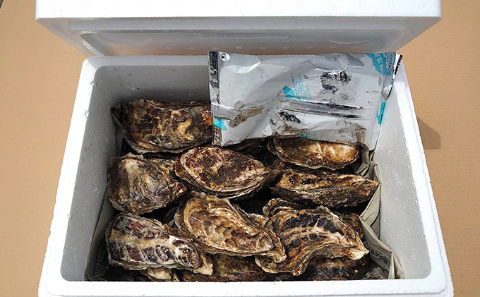 牡蠣 厚岸のブランド牡蠣 マルえもん 2Lサイズ 20個 生食用