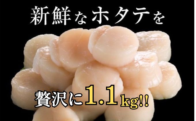 【緊急支援品】【中国禁輸施策応援品】【 3ヵ月 定期便 】北海道 訳あり 冷凍 帆立 貝柱 1.1kg (各回1.1kg×3ヶ月分,合計約3.3kg) 