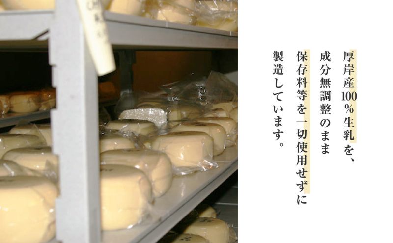森高牧場 チーズ ゴーダタイプ 3個セット (1個あたり125g,合計375g入り) 北海道 乳製品 チーズ ゴーダチーズ 加工食品 