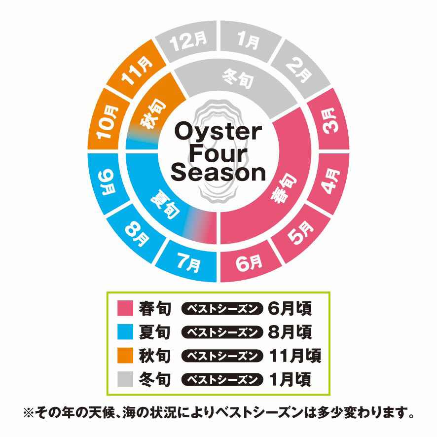 北海道厚岸産 生食用　殻付カキ3Lサイズ10個　マルえもん