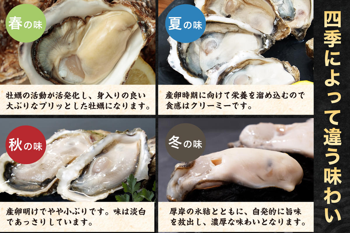 北海道厚岸産 牡蠣 Lサイズ 1ダース（12個入り） 生食用