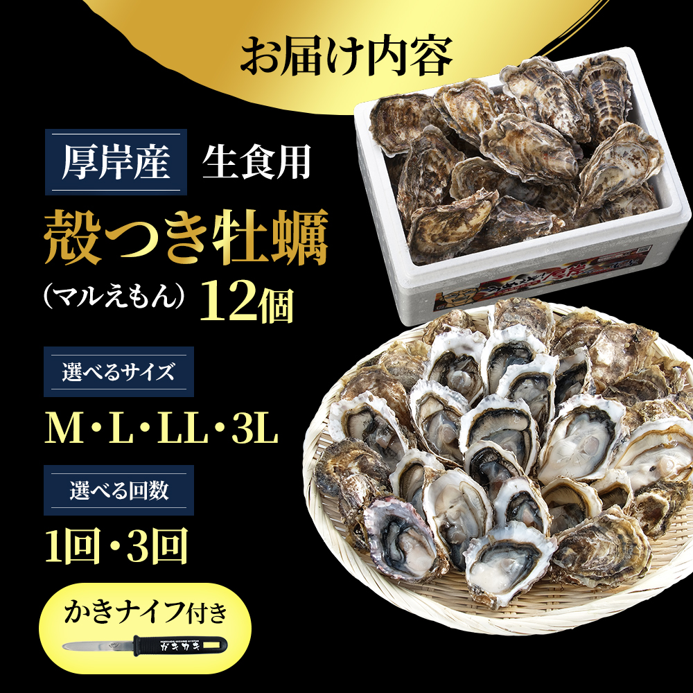 åæµ·éåå²žç£ ç¡è £ Lãµã€ãº 1ããŒã¹ïŒ12åå
¥ãïŒ çé£çš çç¡è £ è²ä»ãç¡è £ è² æµ·é®® éä»é¡ ã·ãŒããŒã æ®»ä»ãç¡è £ ãã«ããã ã¡ã«ãã¬æ²èŒåå1