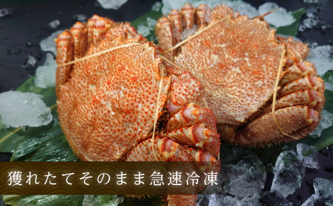 北海道産ボイル毛蟹　3kg