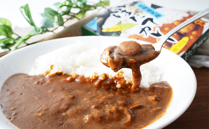 ほたてカレー 180g×5個 (合計900g入) カレー ホタテ レトルト