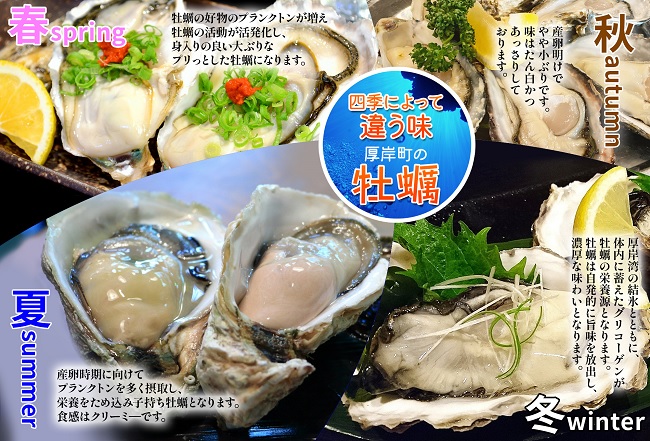 北海道 厚岸産 生食用 殻付カキ Mサイズ 10個 マルえもん 牡蠣|JAL