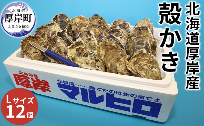 厚岸産 殻かき L12個セット 北海道 牡蠣 カキ かき  生牡蠣 殻付