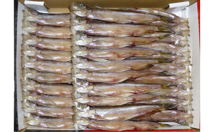 北海道産 本ししゃも オス2Lサイズ 30尾×2枚 化粧箱入 (合計60尾入り) 魚貝類 海鮮 海の幸 魚 魚料理 夕飯 夜ごはん おかず 食材 つまみ お酒のあて 肴 国産 国産シシャモ 