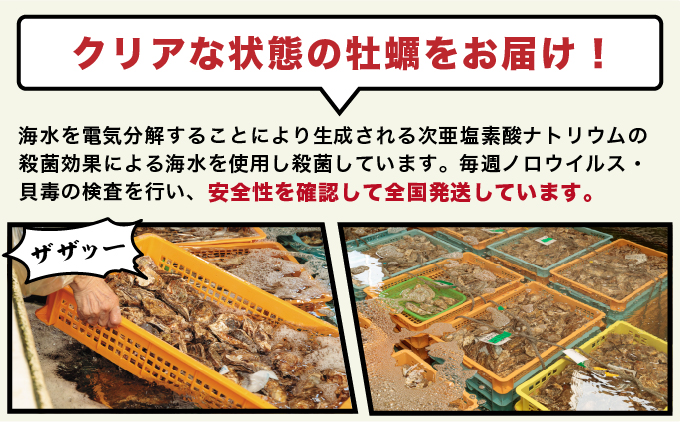 2025年4月～6月配送 訳あり 牡蠣 北海道厚岸産 殻付カキ 約4kg (25～50個) カキナイフ付 生食