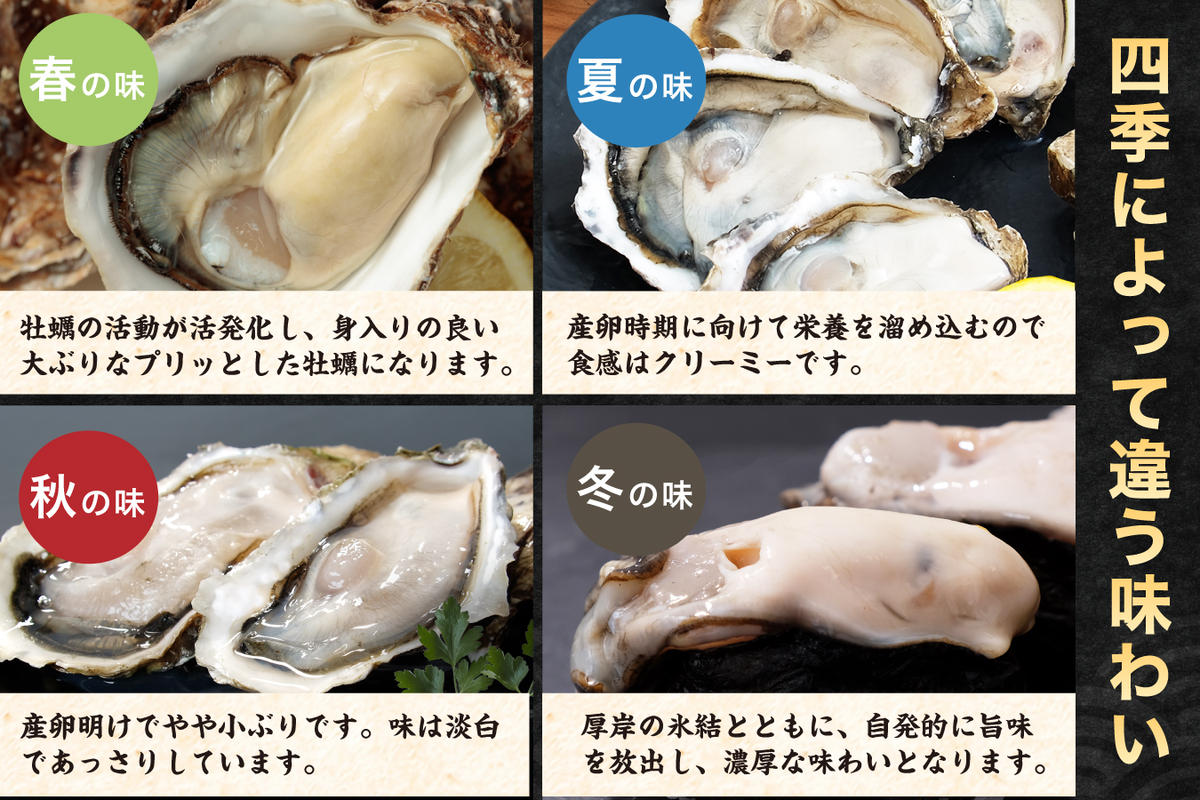 4月～6月配送 訳あり ハーフ 規格外 牡蠣 北海道厚岸産 殻付カキ 約2kg（11～25個）カキナイフ付 生食