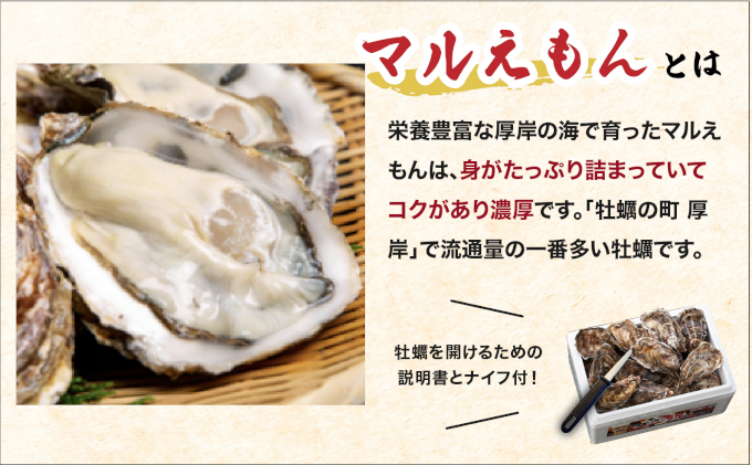 4月～6月配送 訳あり 牡蠣 北海道厚岸産 殻付カキ 約4kg (25～50個) カキナイフ付 生食